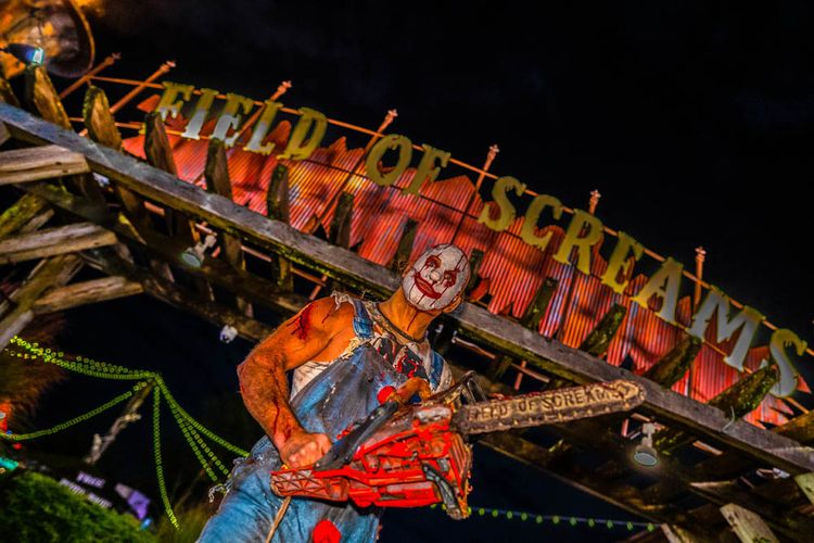 Gallery | Field of Screams