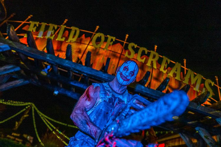Gallery | Field of Screams